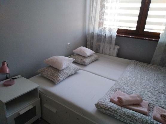 Apartment Oswiecim Klimatyzowany Ngoại thất bức ảnh