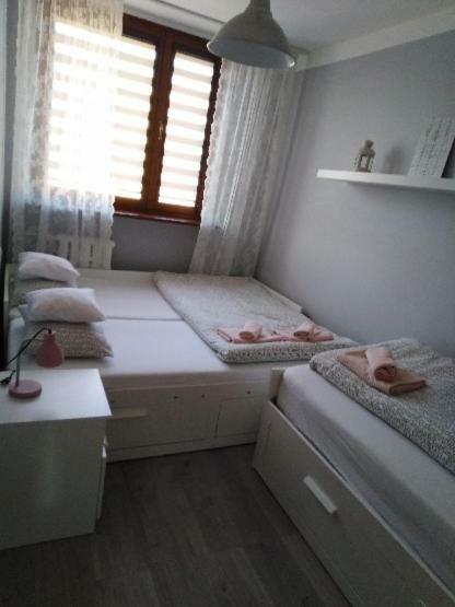 Apartment Oswiecim Klimatyzowany Ngoại thất bức ảnh