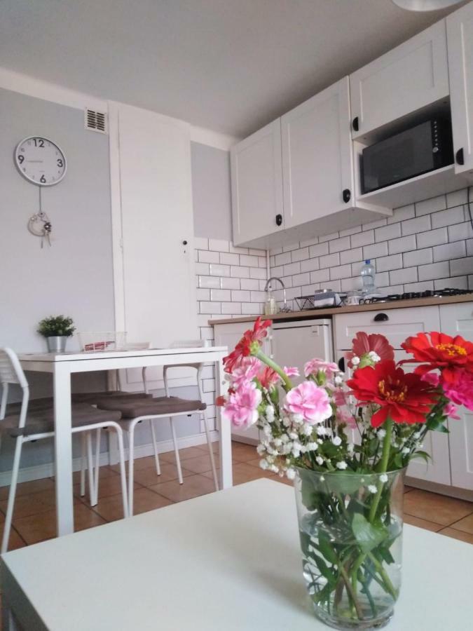 Apartment Oswiecim Klimatyzowany Ngoại thất bức ảnh