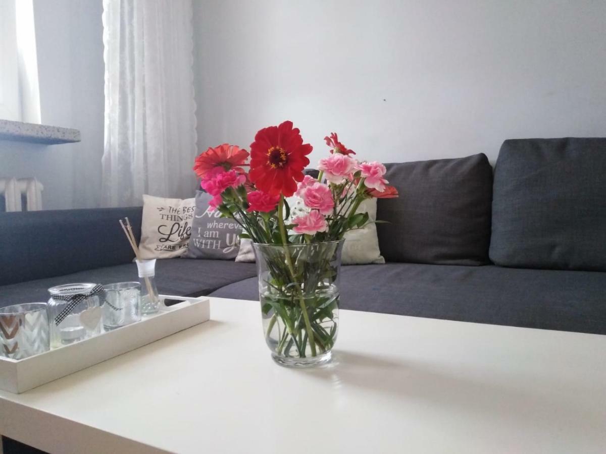 Apartment Oswiecim Klimatyzowany Ngoại thất bức ảnh